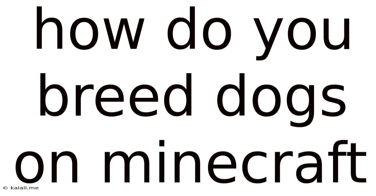How Do You Breed Dogs On Minecraft