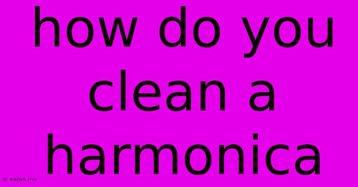 How Do You Clean A Harmonica