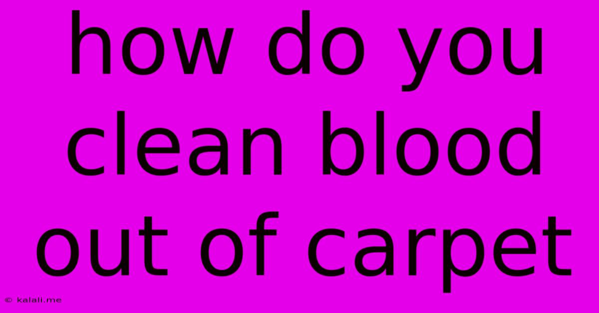How Do You Clean Blood Out Of Carpet
