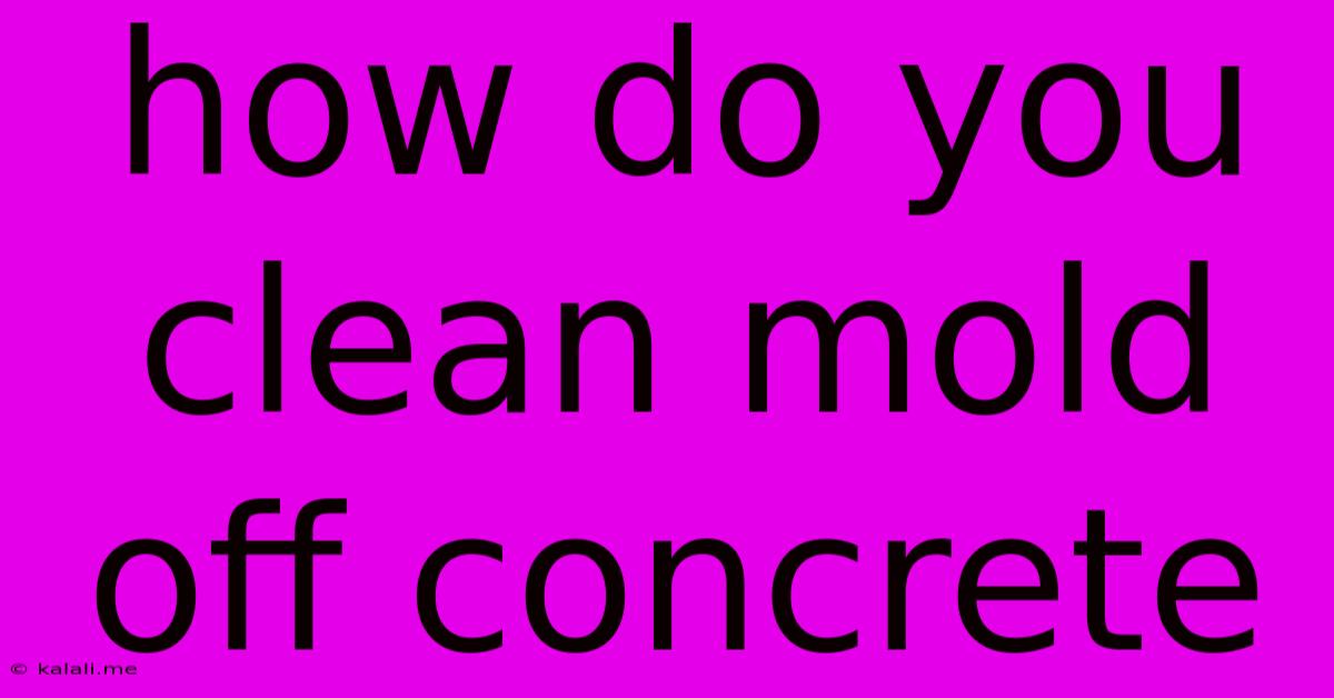 How Do You Clean Mold Off Concrete