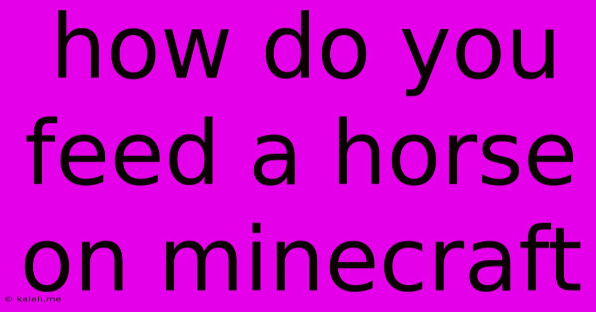 How Do You Feed A Horse On Minecraft