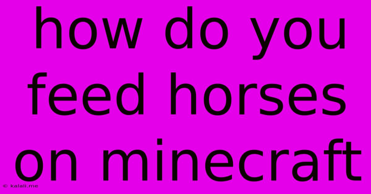 How Do You Feed Horses On Minecraft