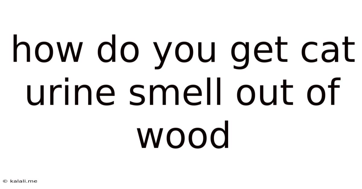 How Do You Get Cat Urine Smell Out Of Wood