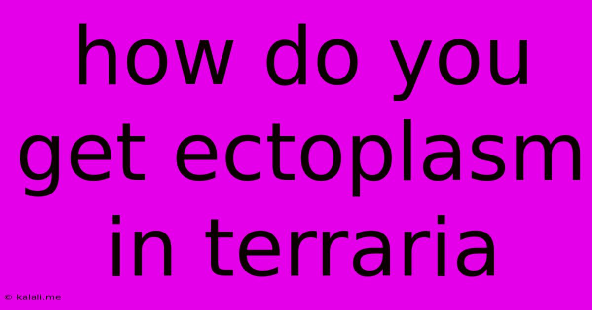 How Do You Get Ectoplasm In Terraria