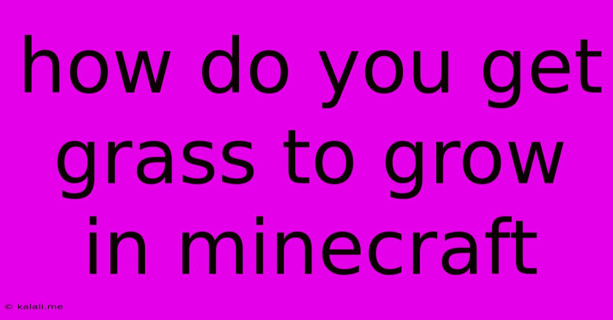 How Do You Get Grass To Grow In Minecraft