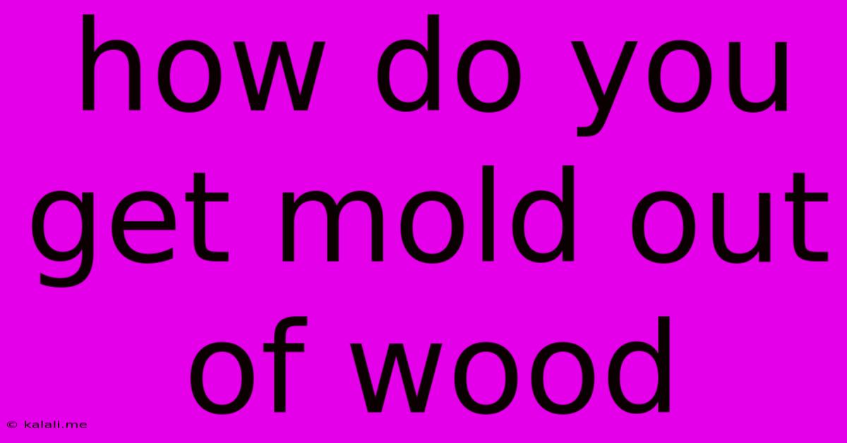 How Do You Get Mold Out Of Wood