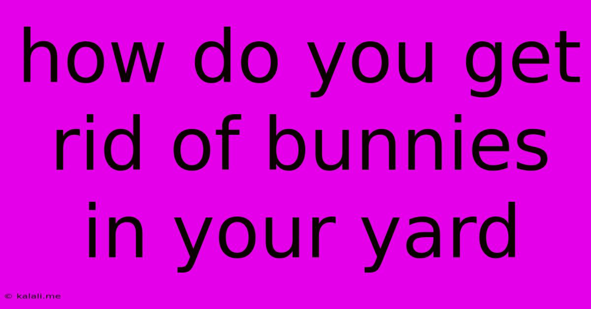 How Do You Get Rid Of Bunnies In Your Yard