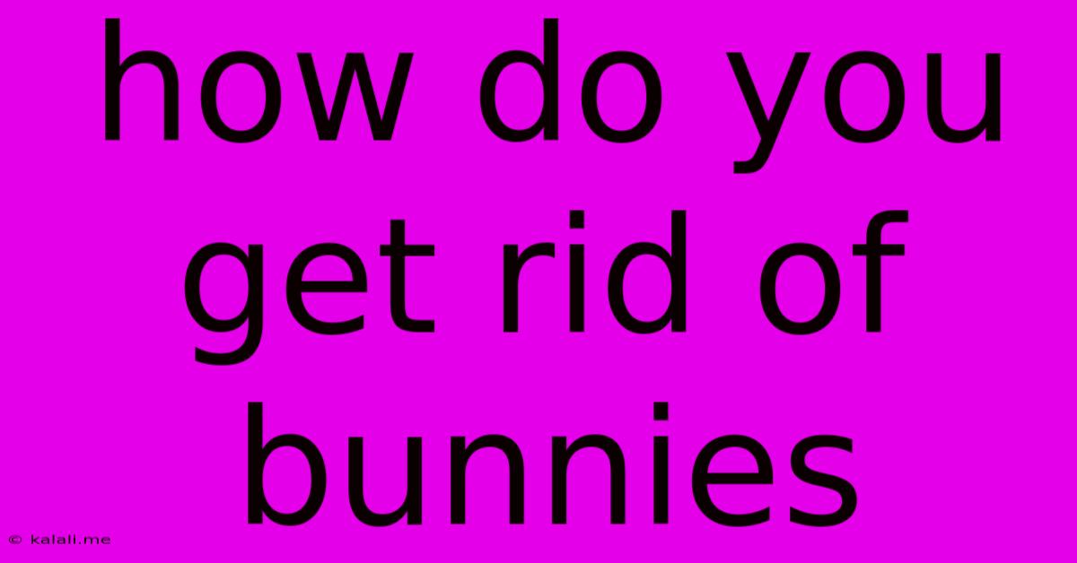 How Do You Get Rid Of Bunnies
