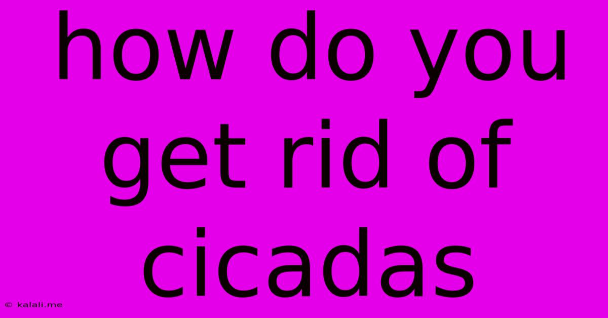 How Do You Get Rid Of Cicadas