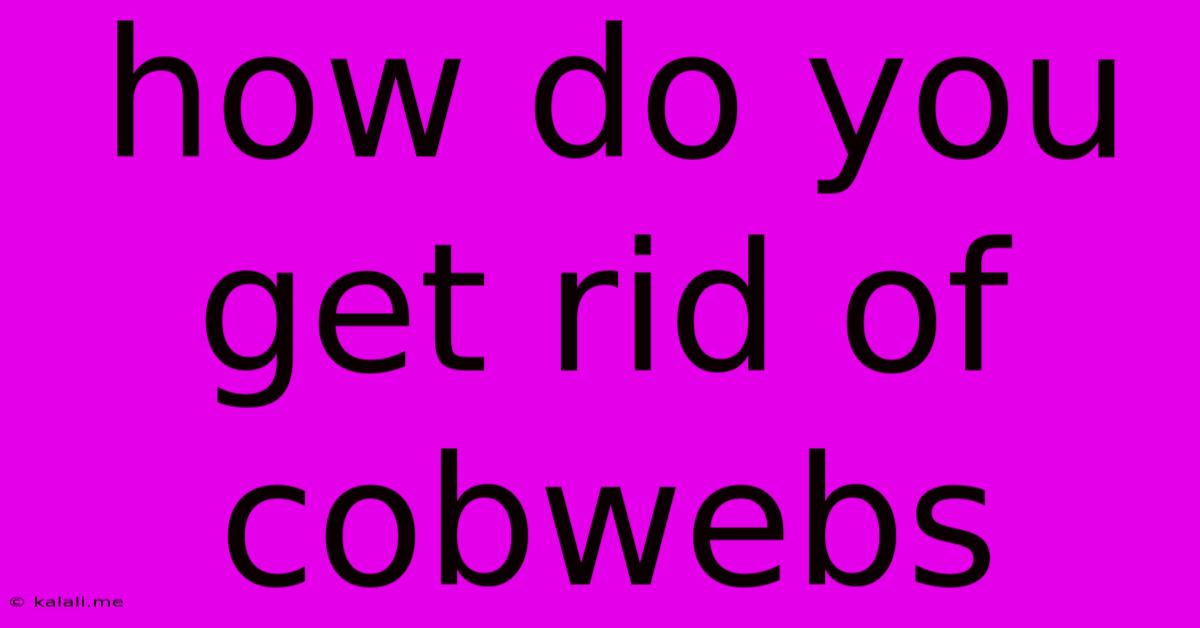 How Do You Get Rid Of Cobwebs