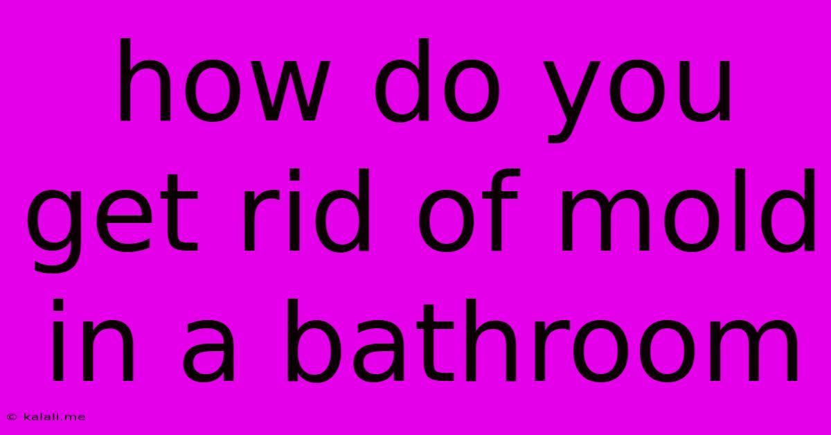 How Do You Get Rid Of Mold In A Bathroom