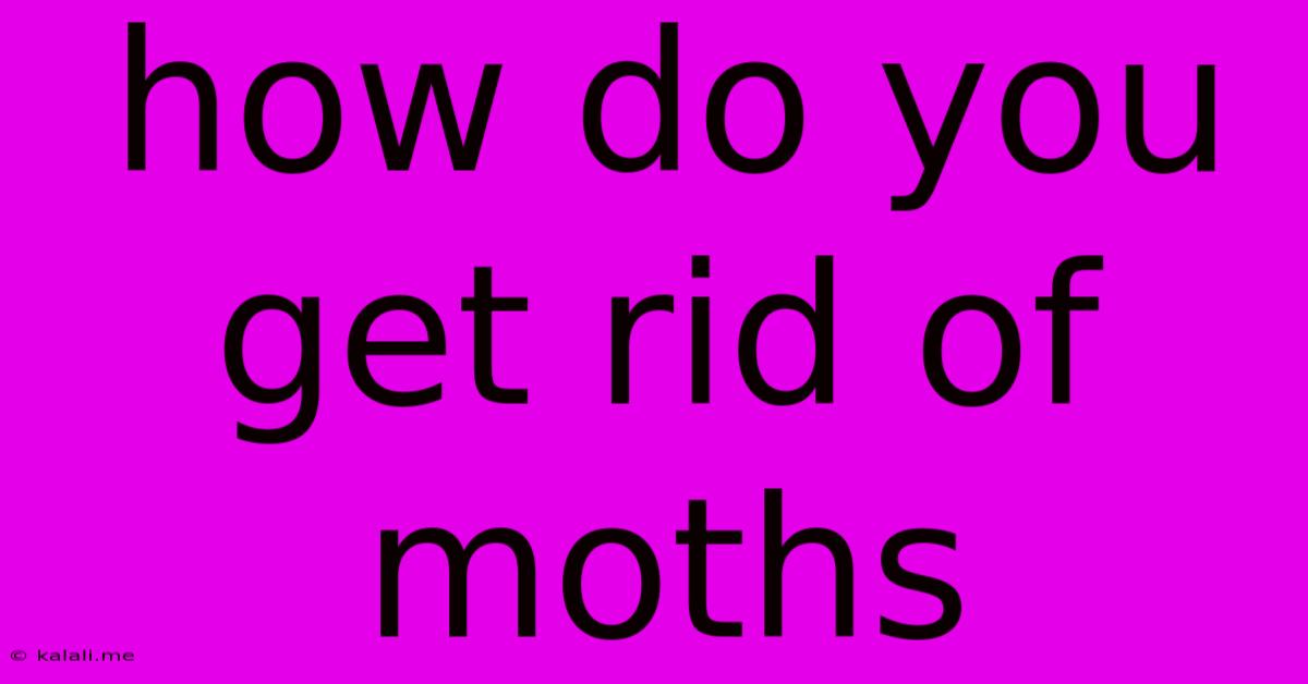 How Do You Get Rid Of Moths