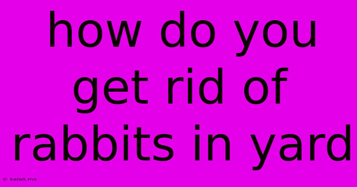 How Do You Get Rid Of Rabbits In Yard
