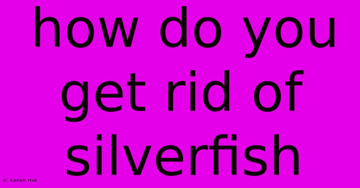 How Do You Get Rid Of Silverfish
