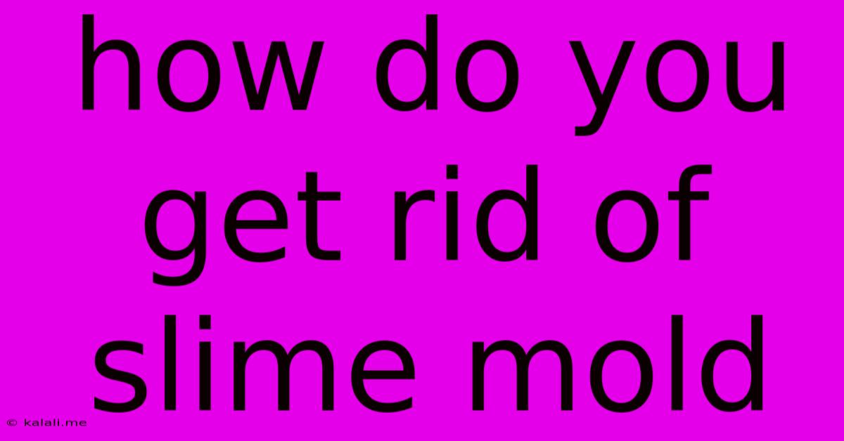 How Do You Get Rid Of Slime Mold