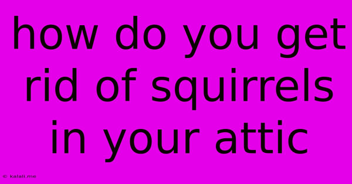 How Do You Get Rid Of Squirrels In Your Attic