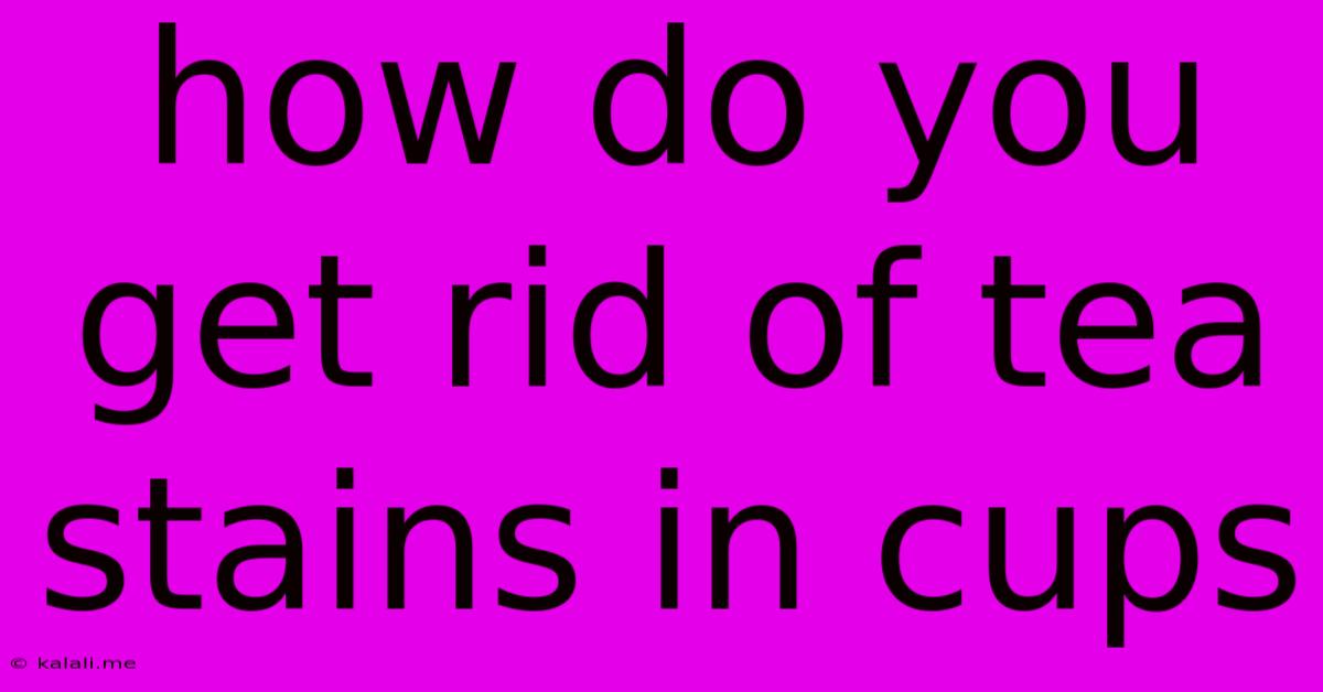 How Do You Get Rid Of Tea Stains In Cups