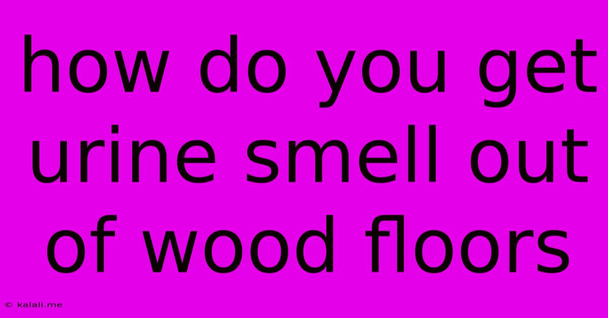 How Do You Get Urine Smell Out Of Wood Floors
