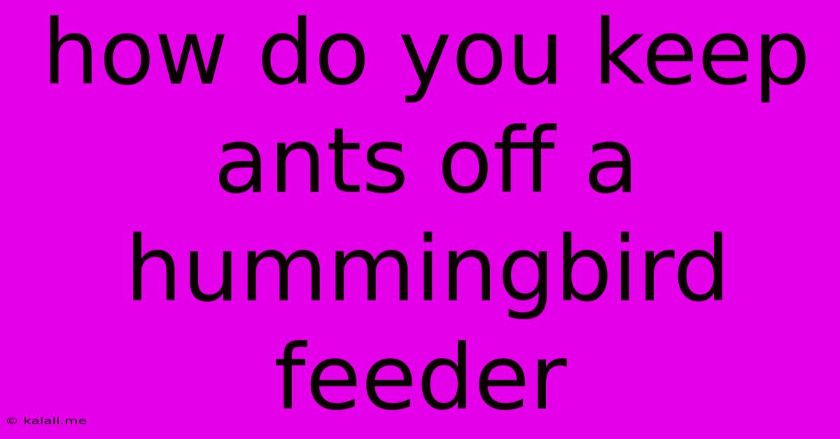 How Do You Keep Ants Off A Hummingbird Feeder