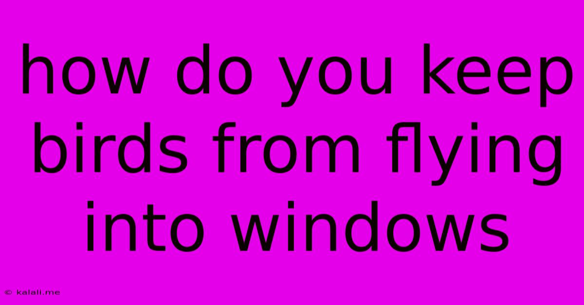 How Do You Keep Birds From Flying Into Windows