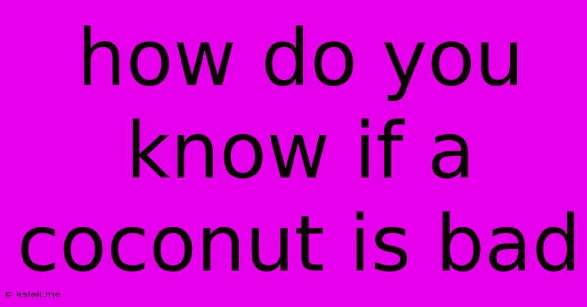 How Do You Know If A Coconut Is Bad