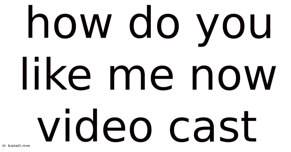 How Do You Like Me Now Video Cast