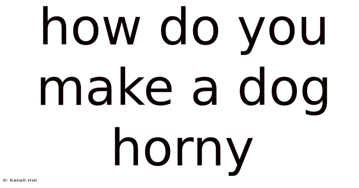 How Do You Make A Dog Horny