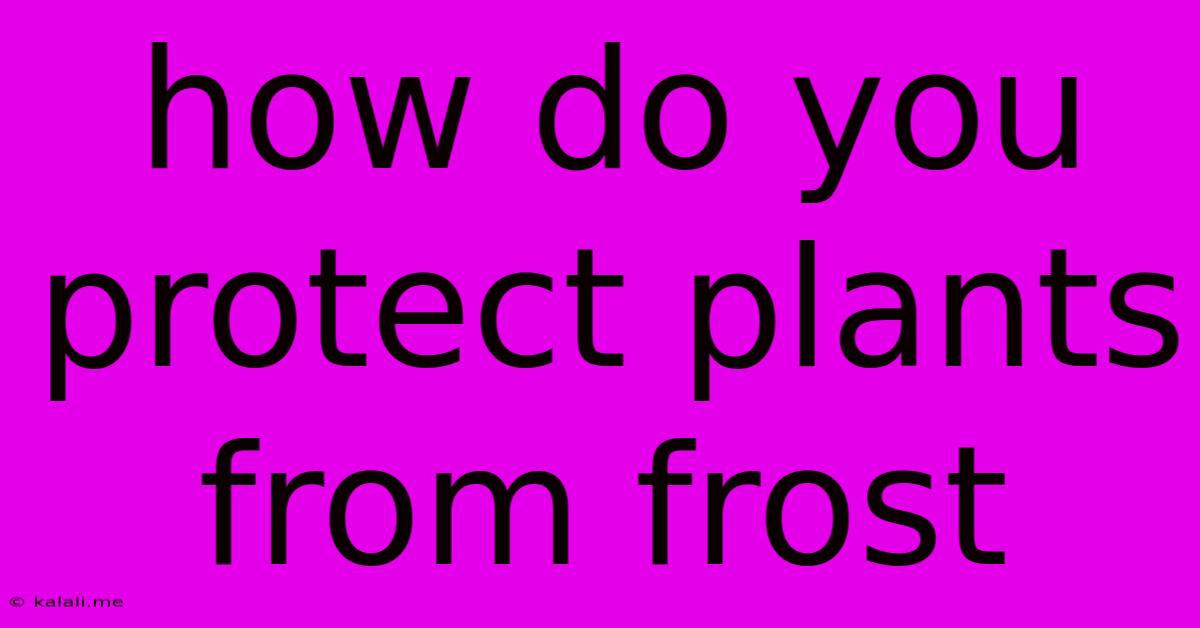 How Do You Protect Plants From Frost