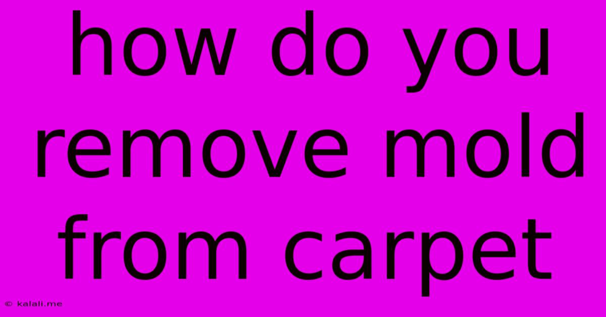 How Do You Remove Mold From Carpet