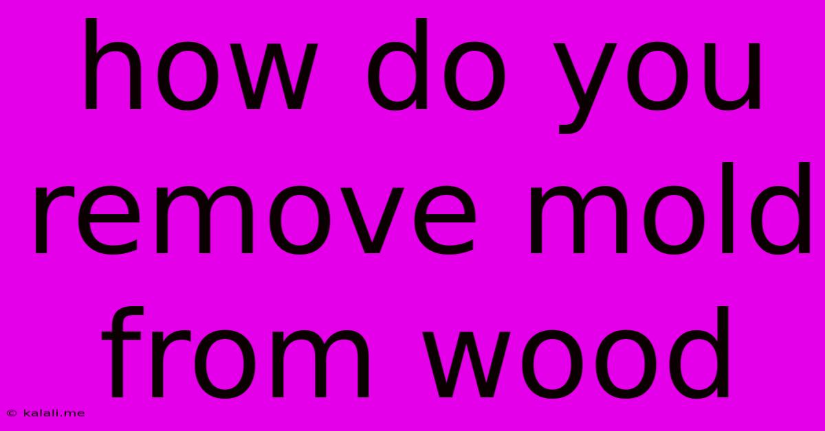 How Do You Remove Mold From Wood