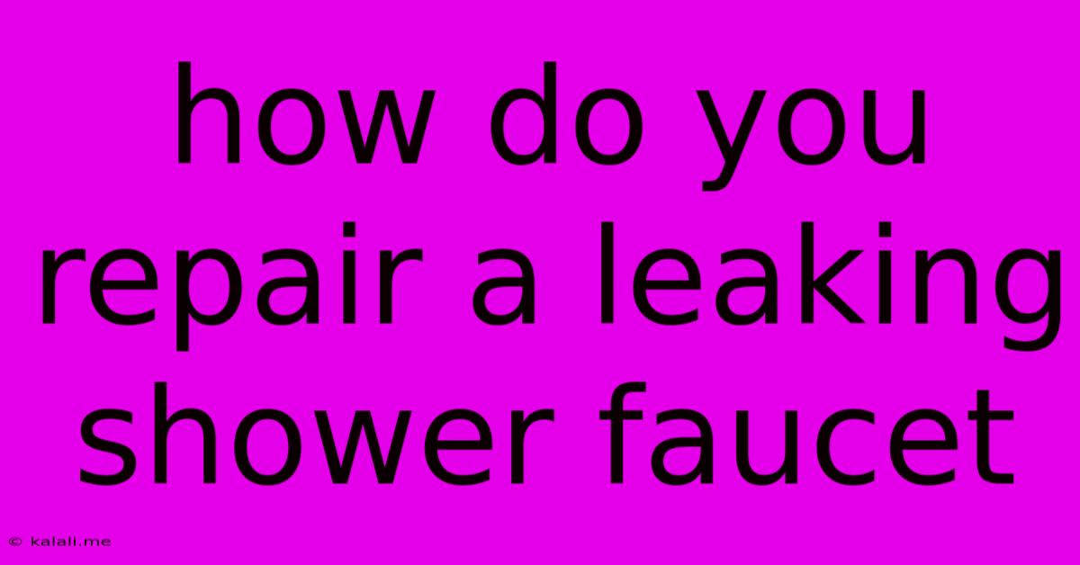 How Do You Repair A Leaking Shower Faucet
