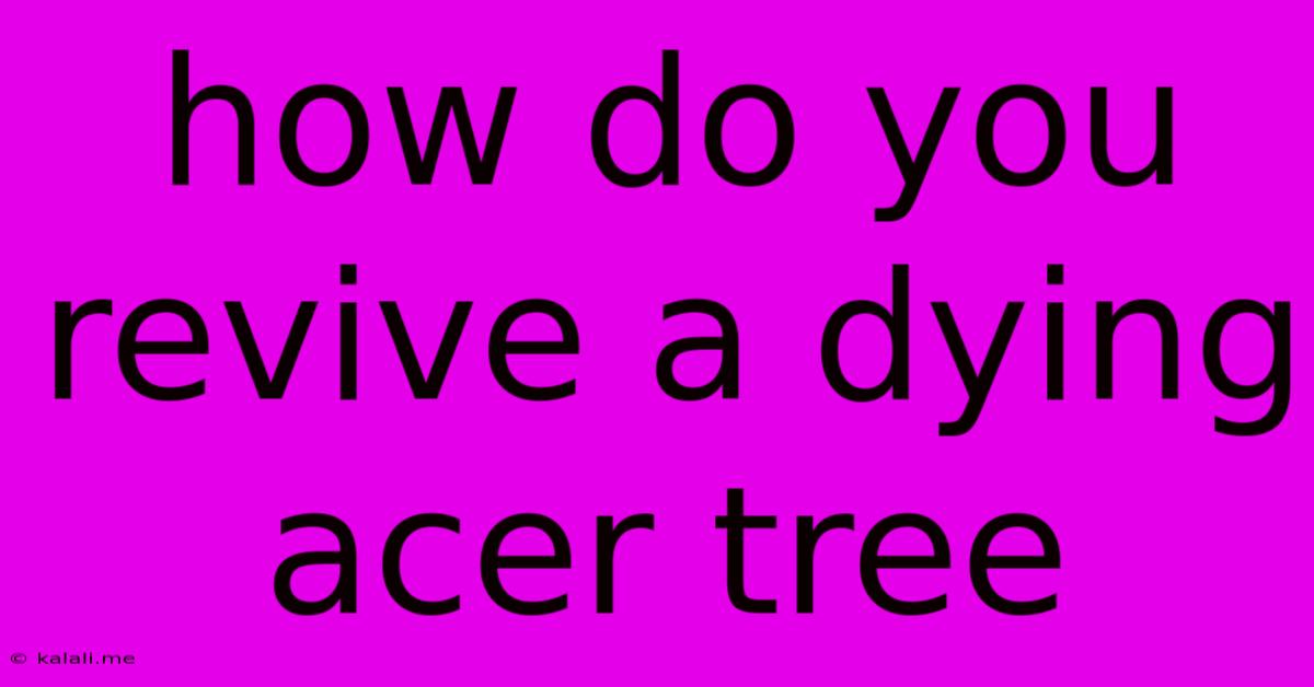How Do You Revive A Dying Acer Tree