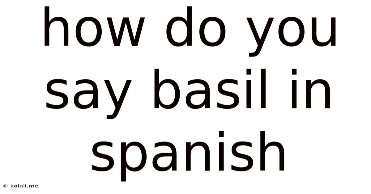 How Do You Say Basil In Spanish