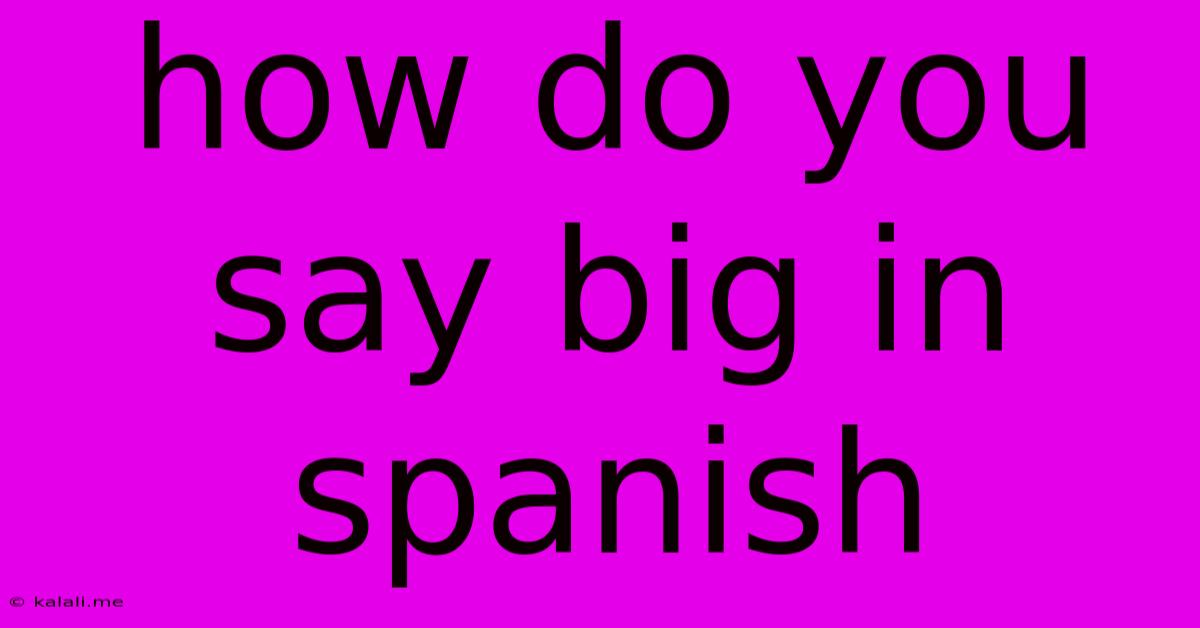 How Do You Say Big In Spanish