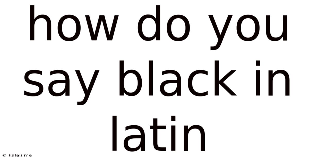 How Do You Say Black In Latin