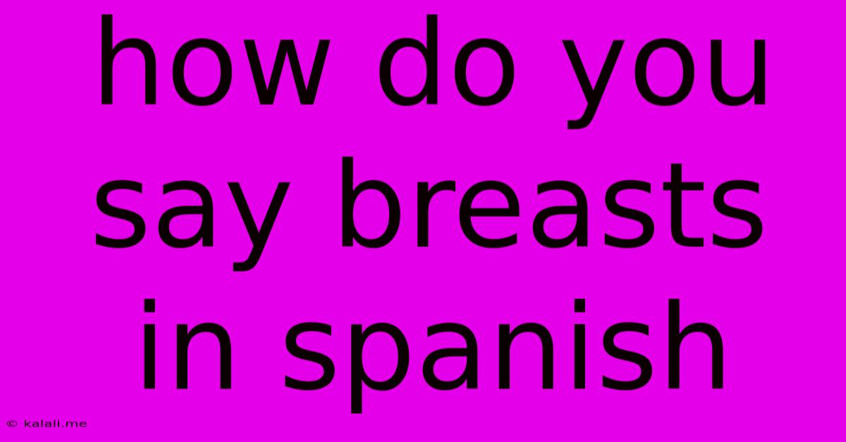 How Do You Say Breasts In Spanish