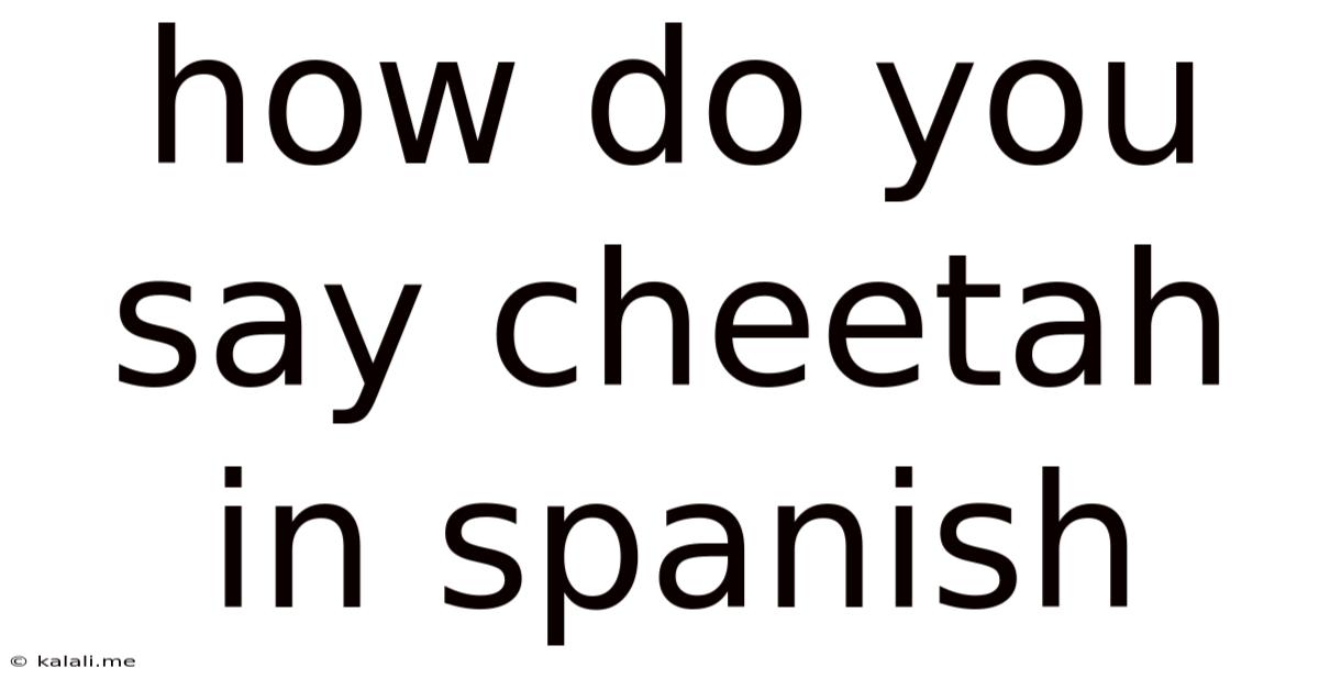 How Do You Say Cheetah In Spanish