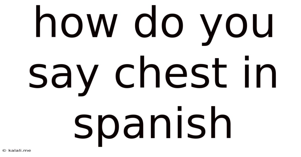 How Do You Say Chest In Spanish