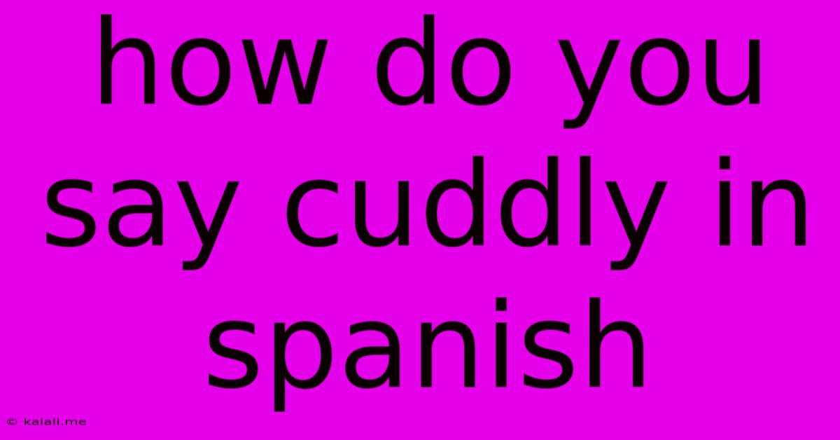How Do You Say Cuddly In Spanish