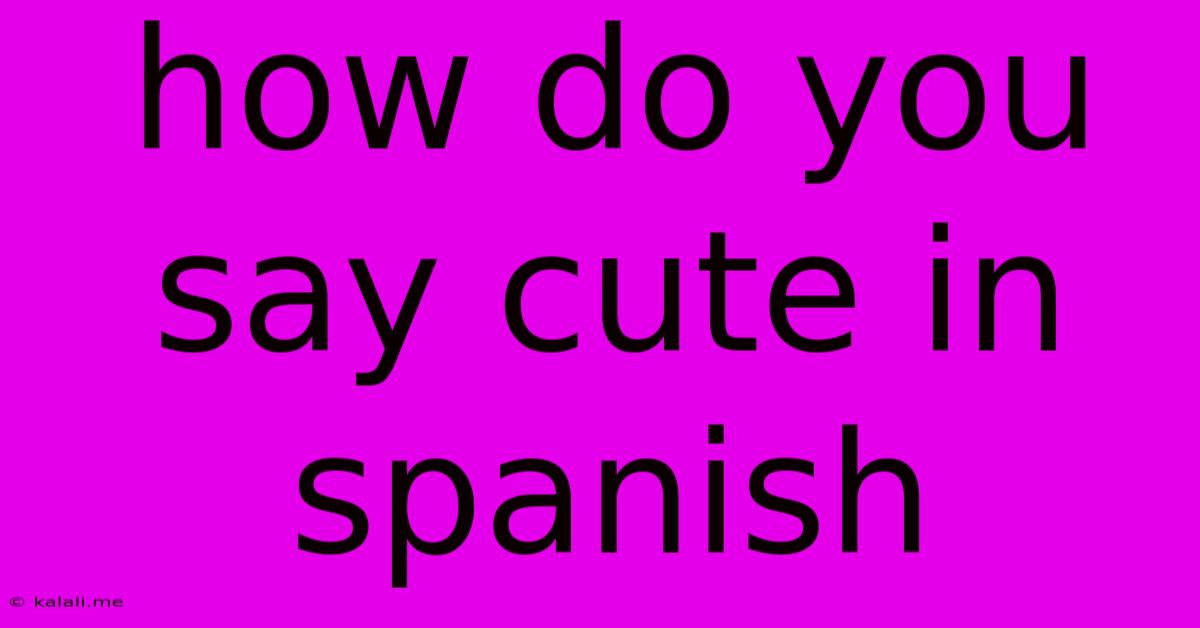 How Do You Say Cute In Spanish