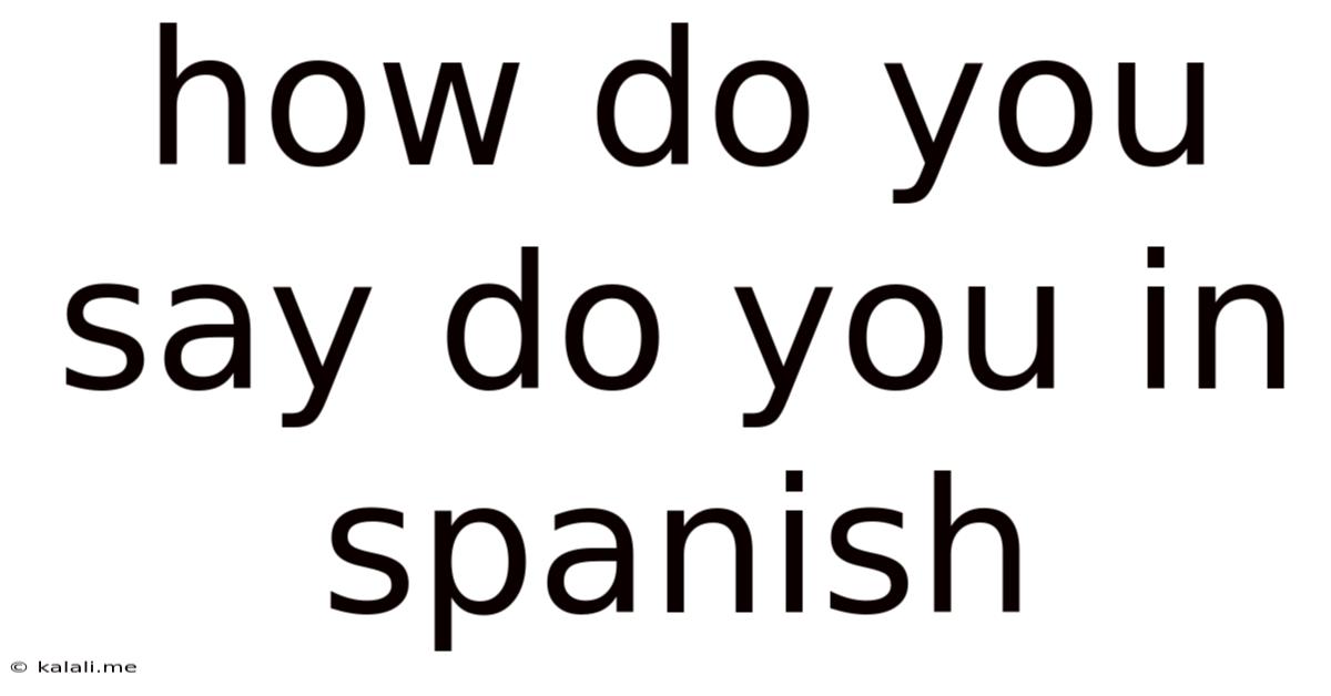 How Do You Say Do You In Spanish