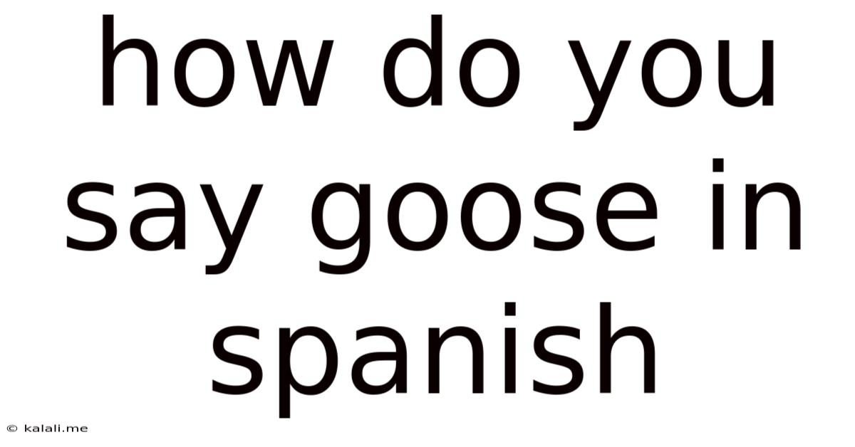 How Do You Say Goose In Spanish