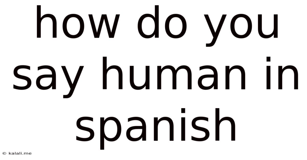 How Do You Say Human In Spanish