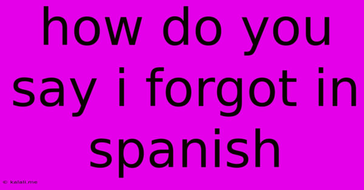 How Do You Say I Forgot In Spanish