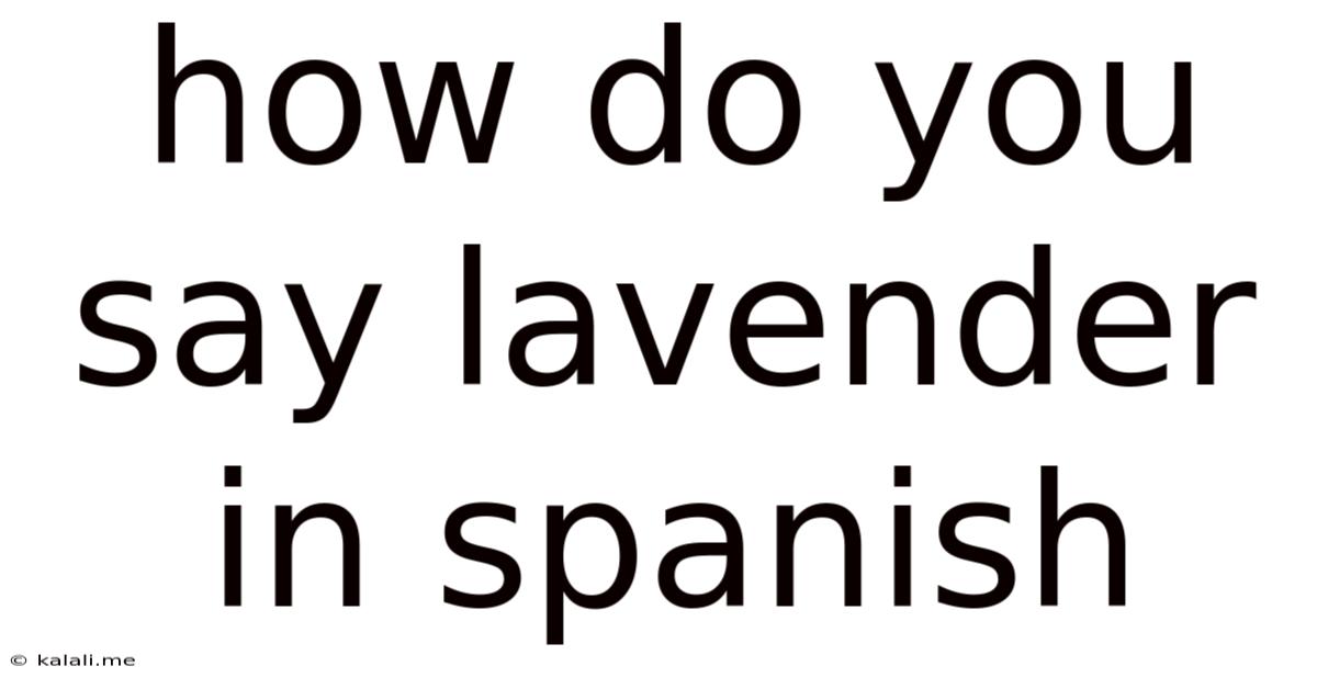 How Do You Say Lavender In Spanish