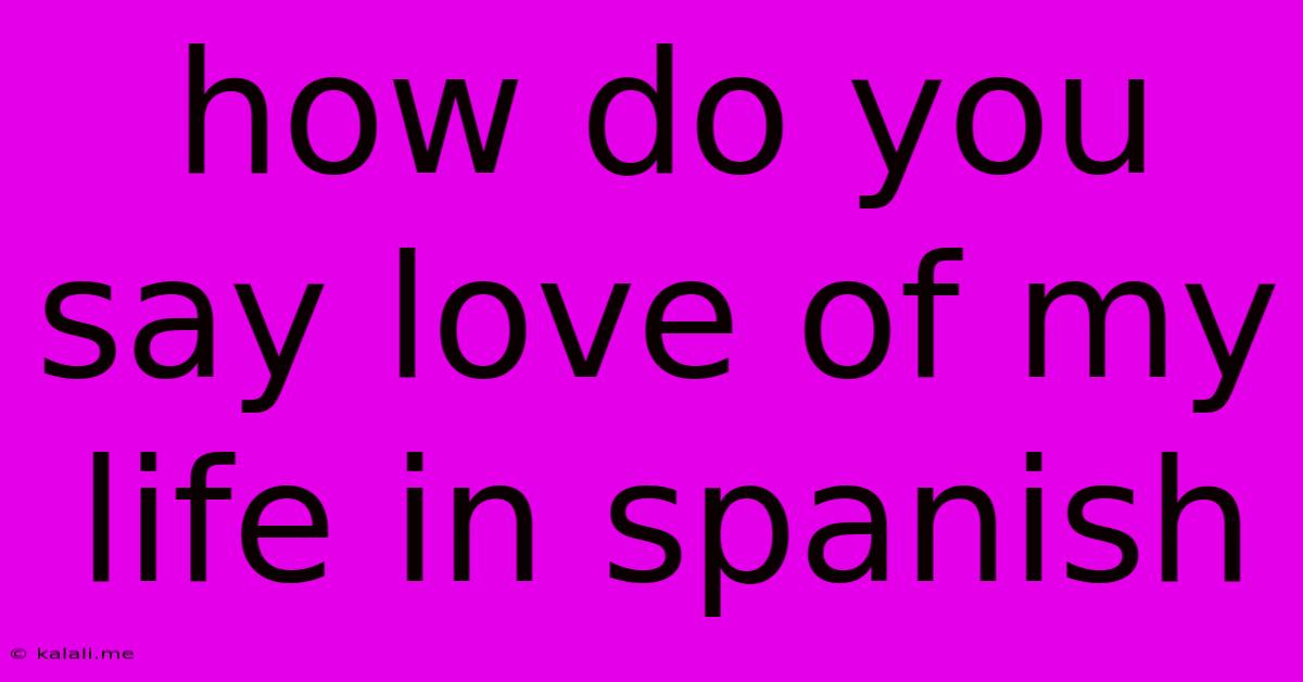 How Do You Say Love Of My Life In Spanish
