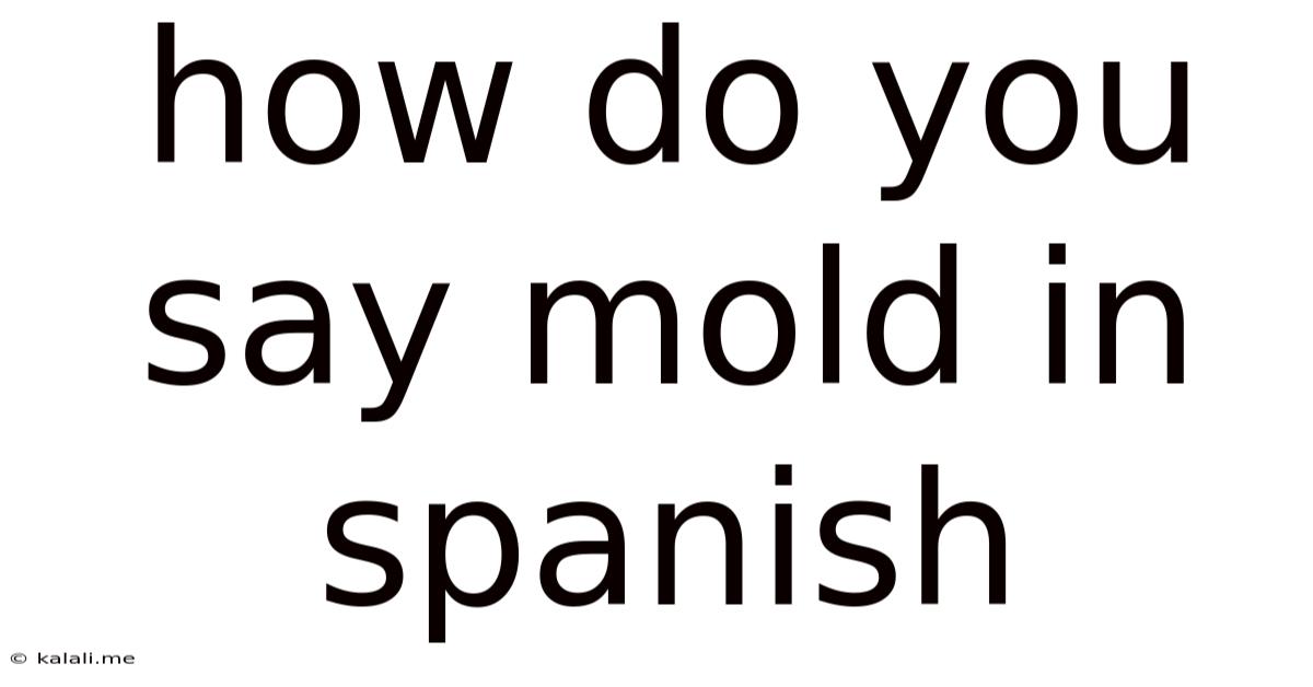 How Do You Say Mold In Spanish