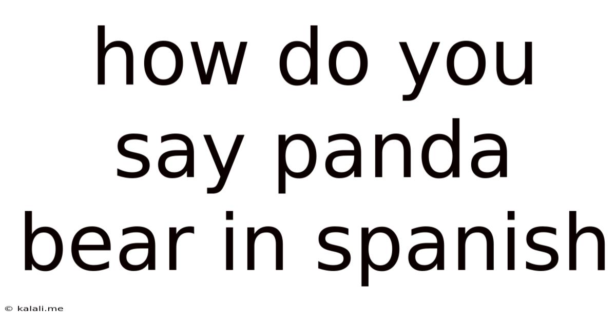 How Do You Say Panda Bear In Spanish