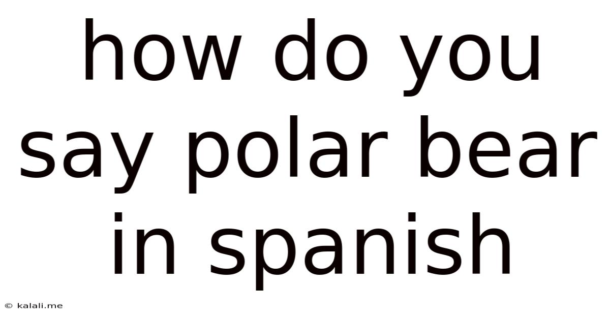How Do You Say Polar Bear In Spanish