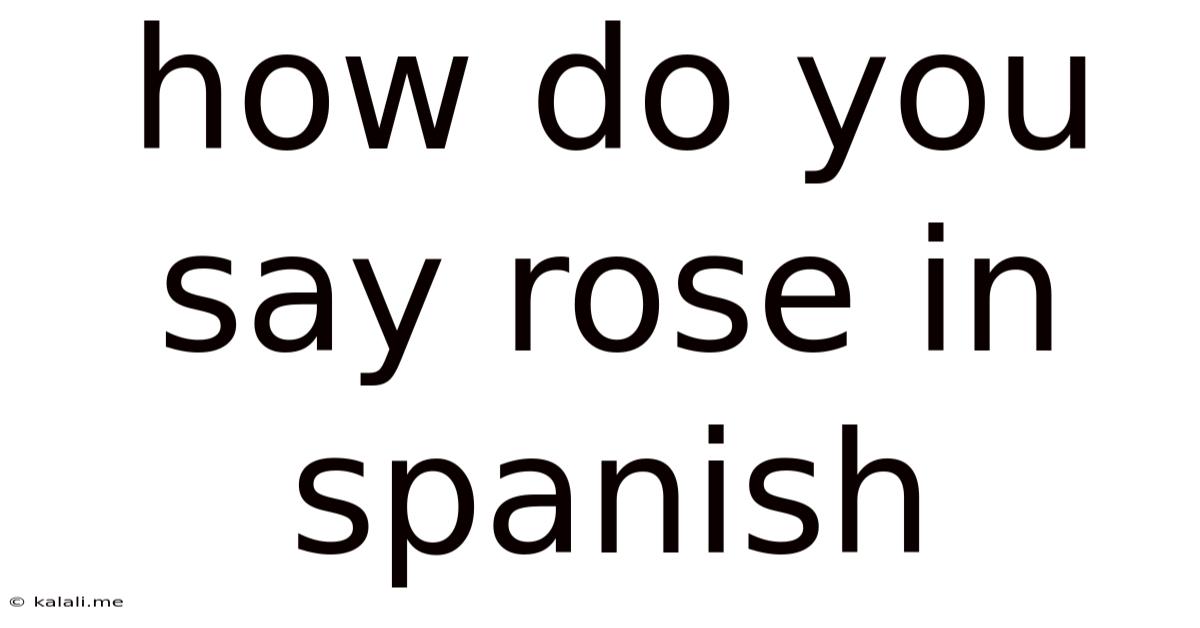 How Do You Say Rose In Spanish